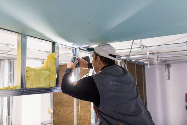 Best Energy-efficient Insulation  in Benson, NC