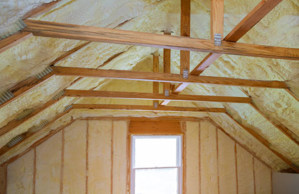 Best Residential Insulation Services  in Benson, NC