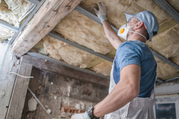 Best Insulation Removal  in Benson, NC