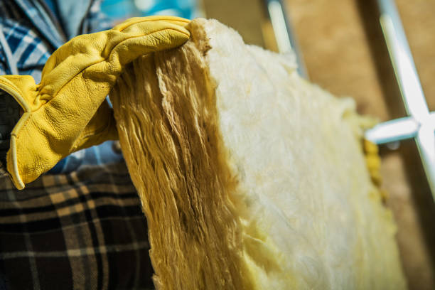 Best Home Insulation Services  in Benson, NC