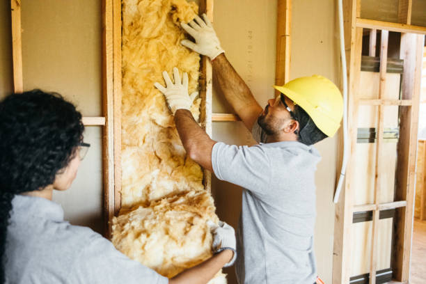 Best Crawl Space Insulation  in Benson, NC