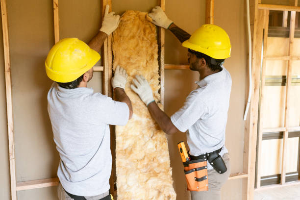 Best Crawl Space Insulation  in Benson, NC