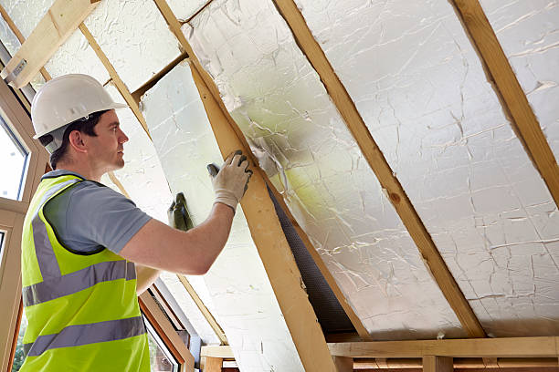 Best Blown-in Insulation  in Benson, NC